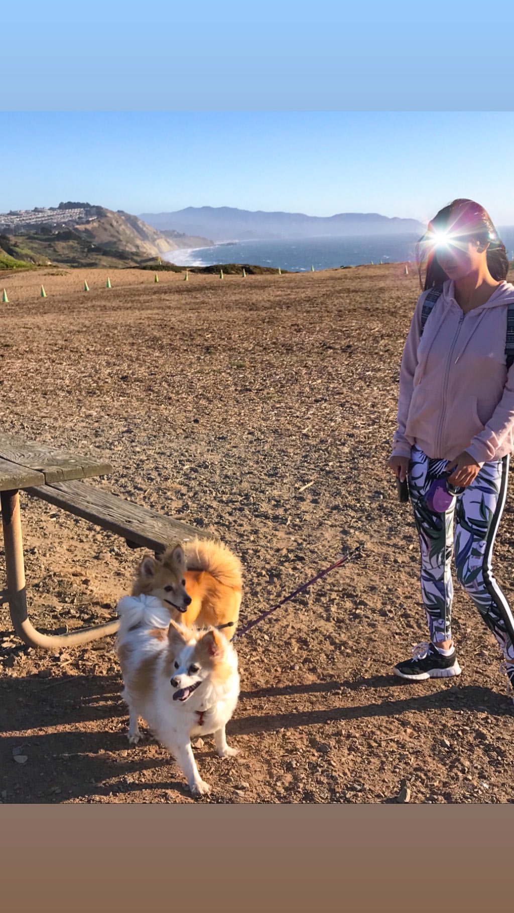 Vanessa Rallonza - Graceful Stroll with Loyal Canine Bond