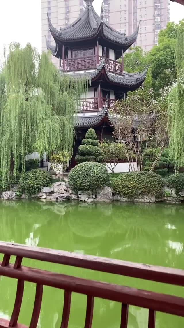 Vanessa Rallonza's Serene Garden Exploration (Video)