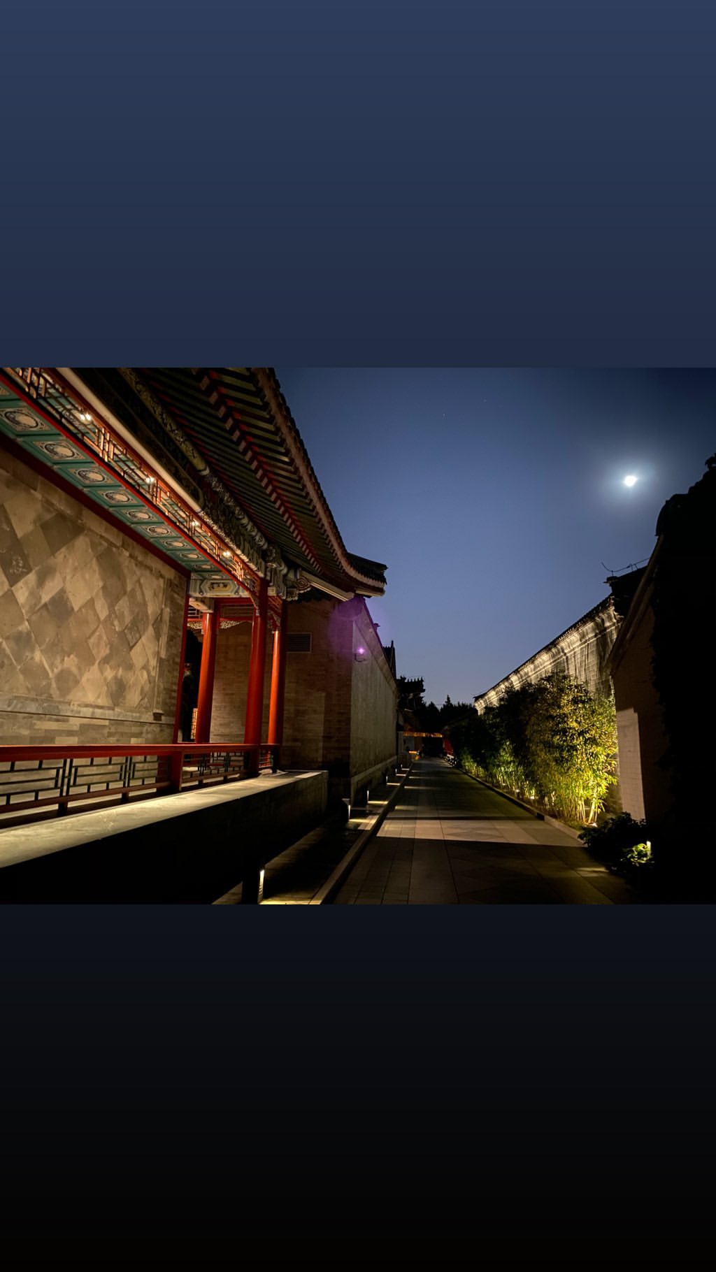 Vanessa Rallonza's Nightscape Symphony: Illuminating Urban after Dark