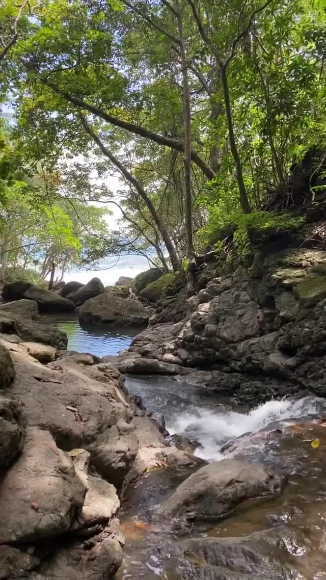 Vanessa Rallonza Serene Nature Exploration (Video)