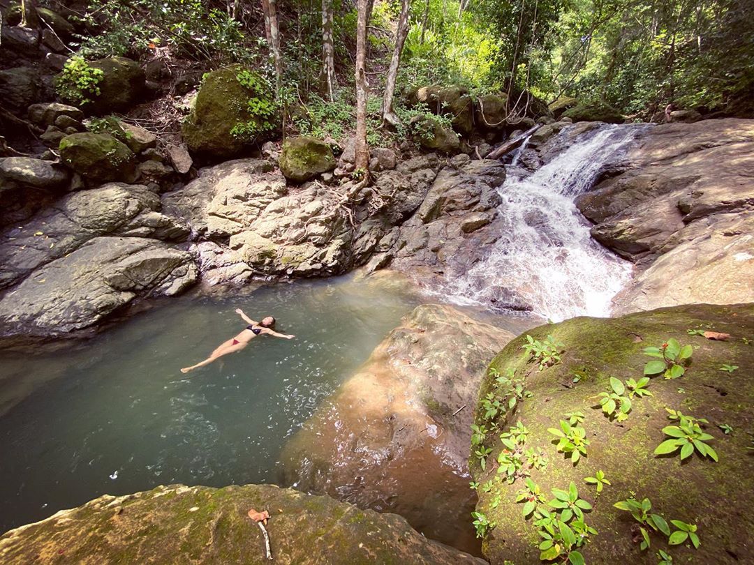 Vanessa Rallonza: Man Swimming in Tropical Jungle Pool