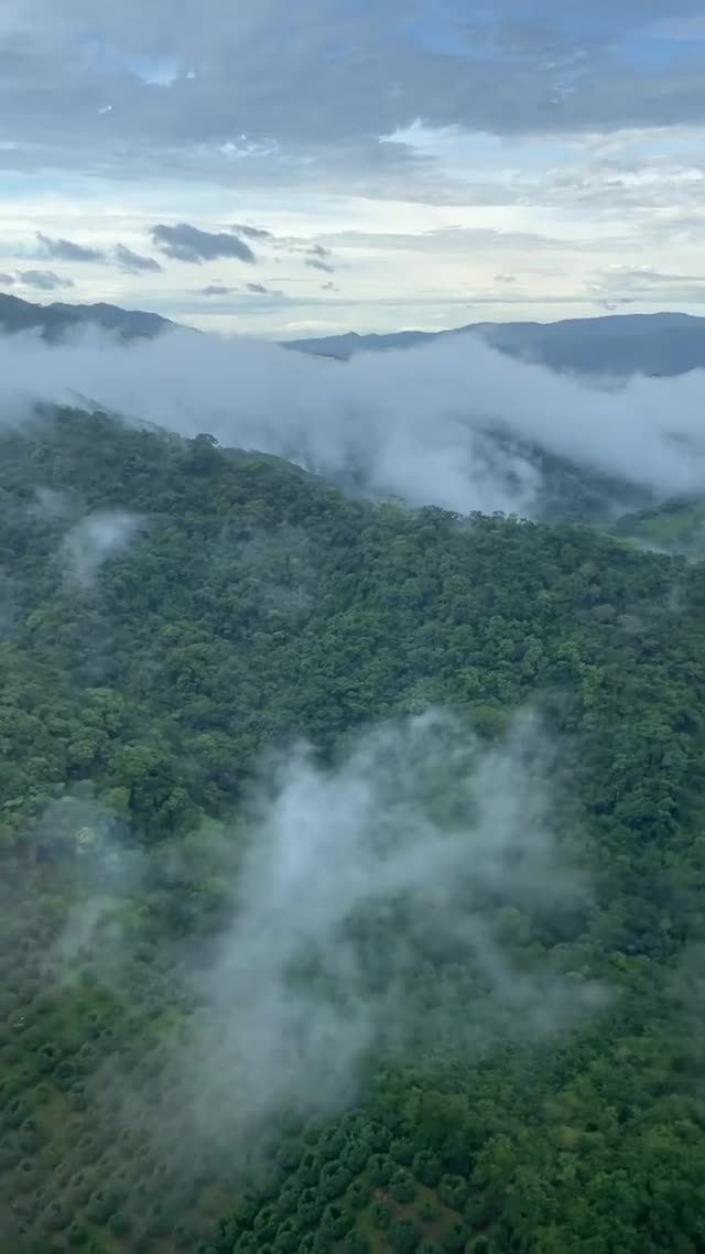 Vanessa Rallonza Enchanting Nature Exploration (Video)