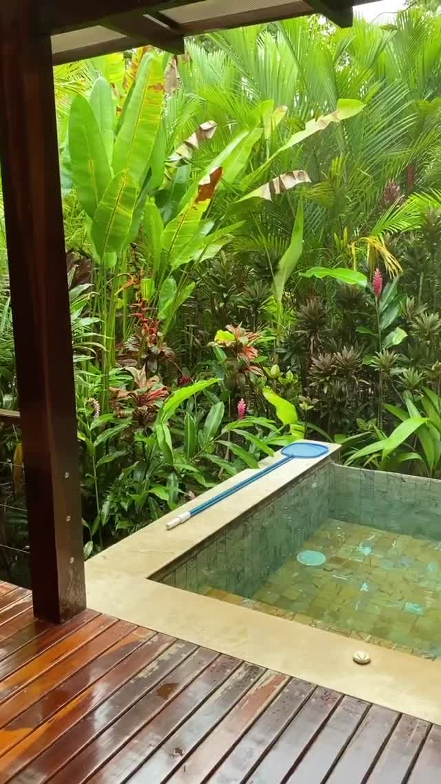 Vanessa Rallonza's Tropical Oasis Adventure (Video)