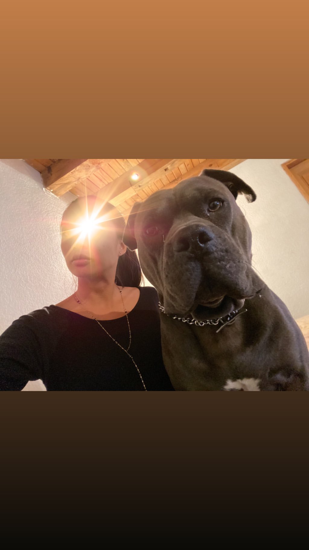 Vanessa Rallonza: Warm Embrace with Playful Canine Companion