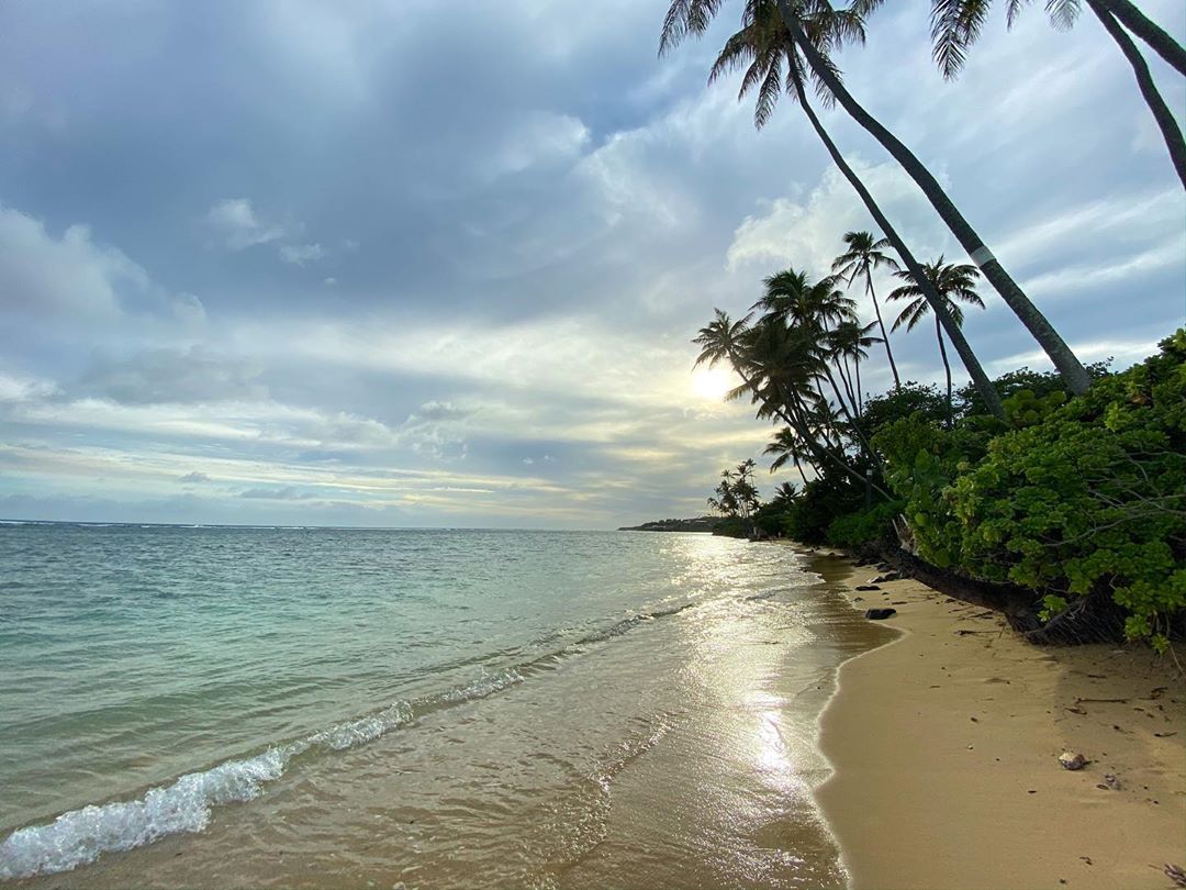 Vanessa Rallonza - Enchanting Tropical Bliss under Sunlit Skies