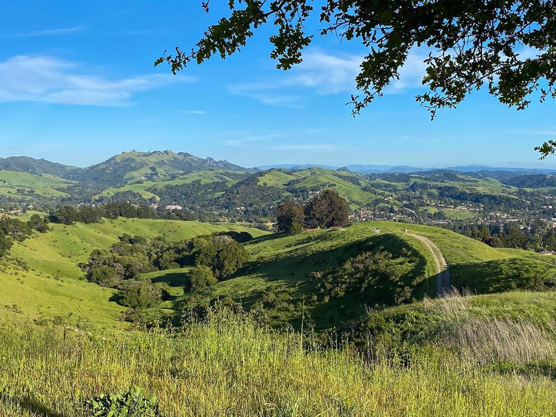 Vanessa Rallonza: Tranquil Earth Panorama on Hike - Celebrating Natural Beauty