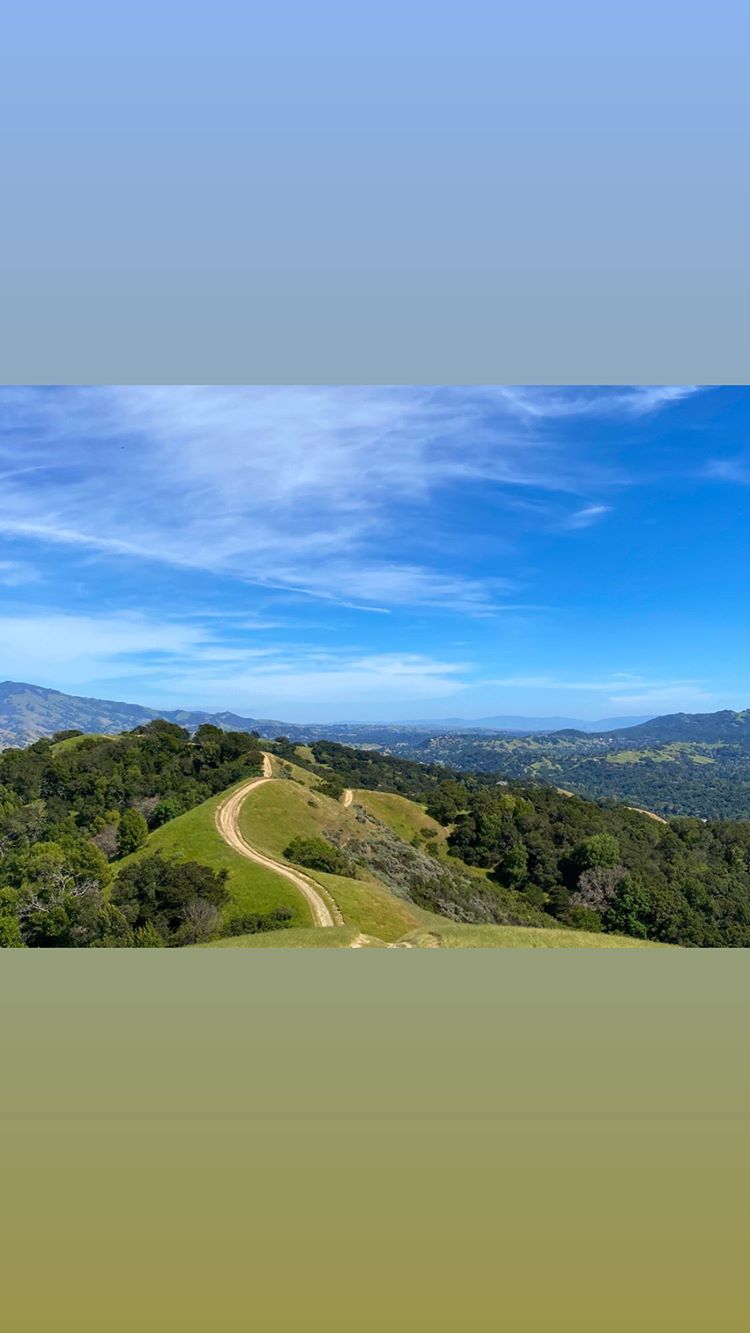 Vanessa Rallonza's Panoramic Bliss at Hilltop Heights