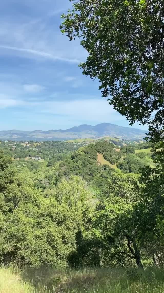 Vanessa Rallonza Serene Nature Journey (Video)