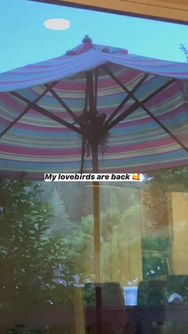 Vanessa Rallonza Relaxing with Colorful Umbrella (Video)