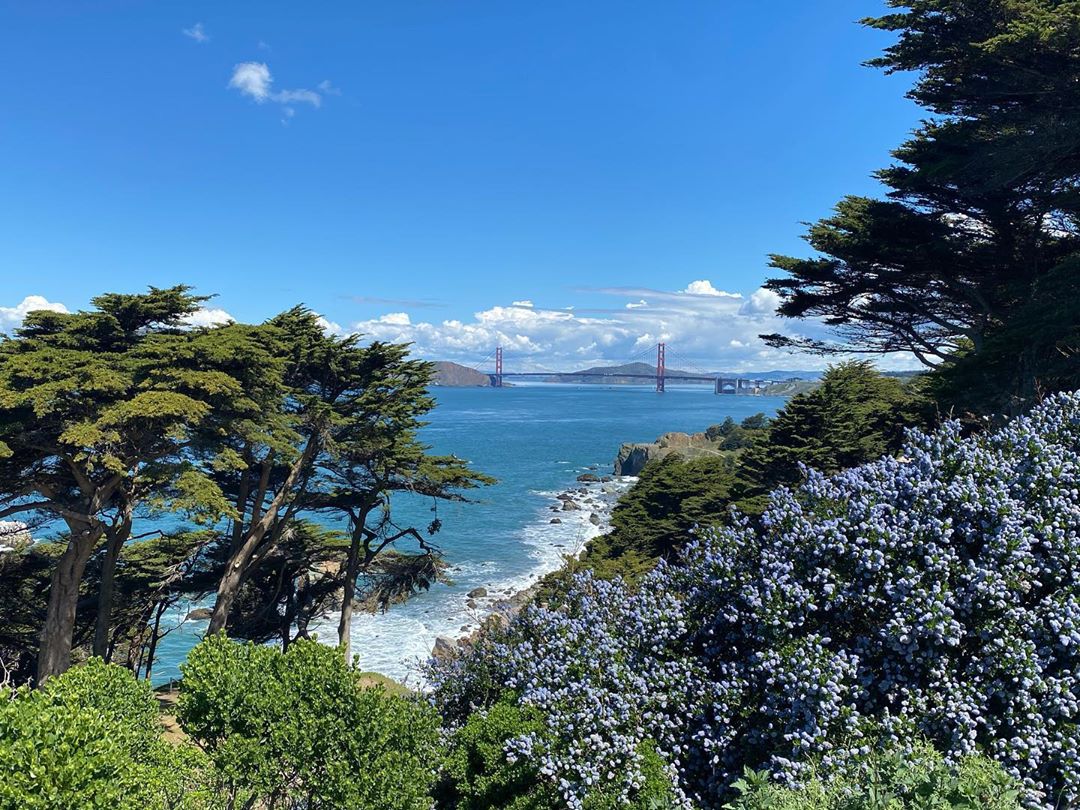 Vanessa Rallonza's Reflection: Golden Gate Bridge Glance from Pacific Coast Trail (Four Months Ago)