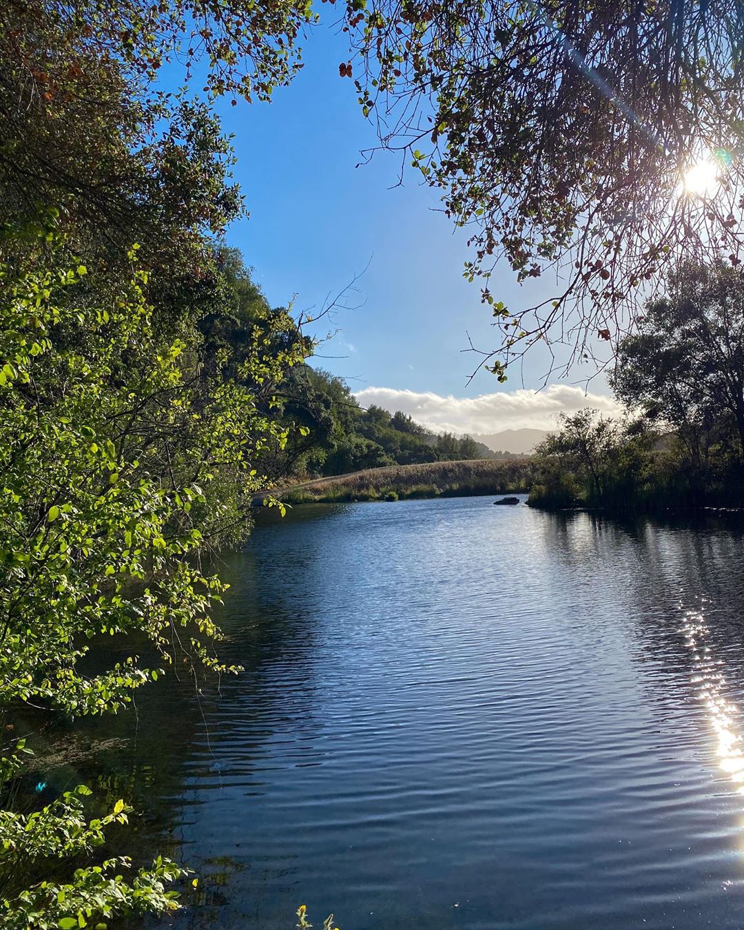 Vanessa Rallonza Serene River Reflection