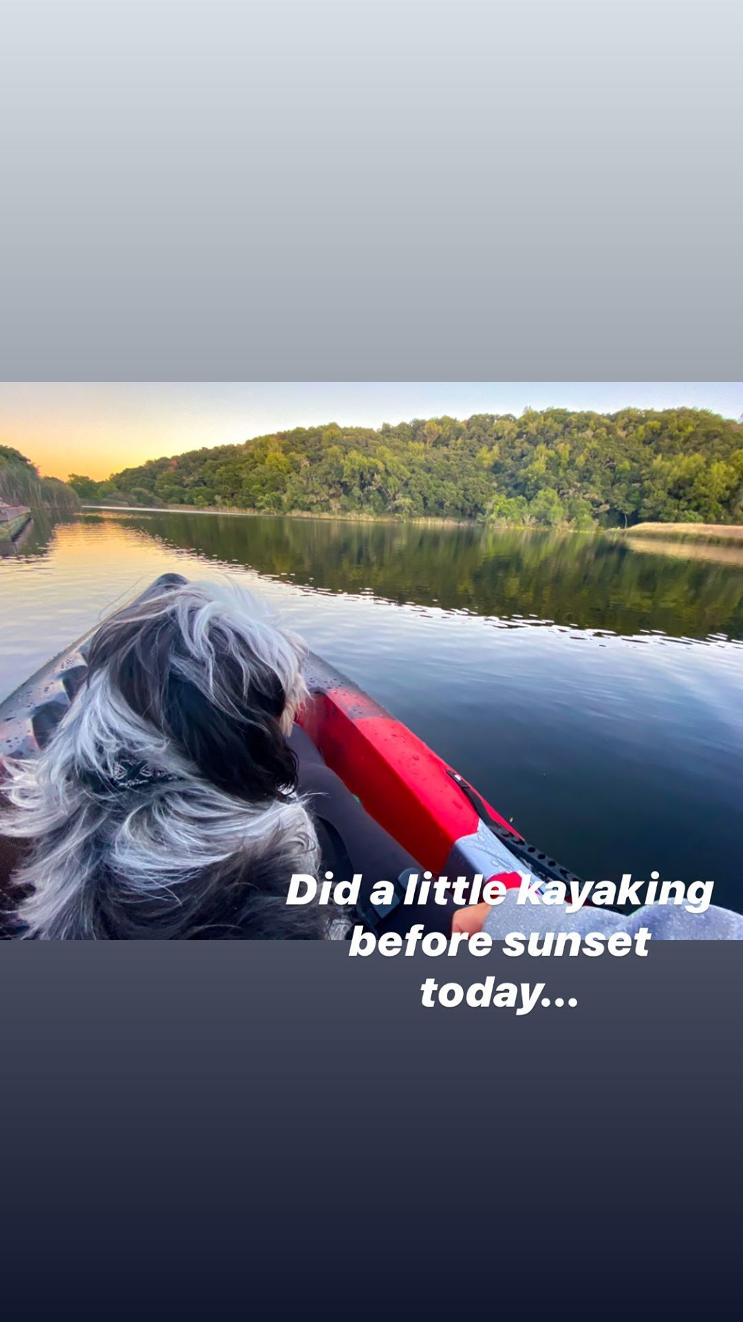 Vanessa Rallonza: Tranquil Rowboat Journey with Loyal Canine