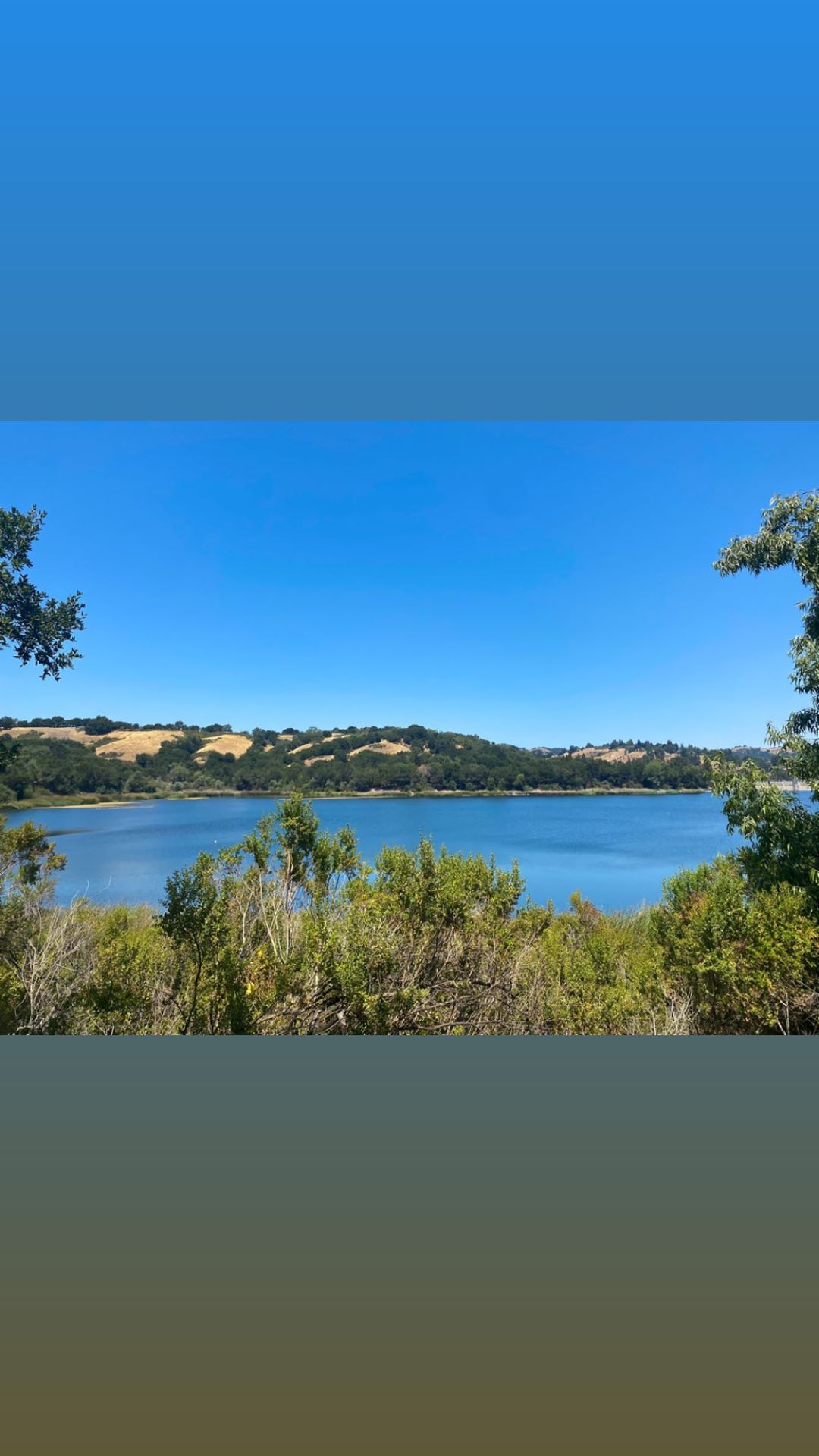 Vanessa Rallonza's Serene Captivation: Pristine Lake Amidst Verdant Trees