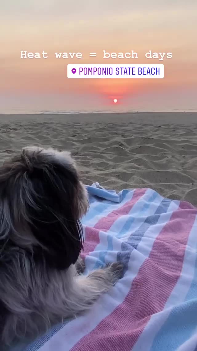 Vanessa Rallonza Beach Bliss: Sunset Serenity (Video)