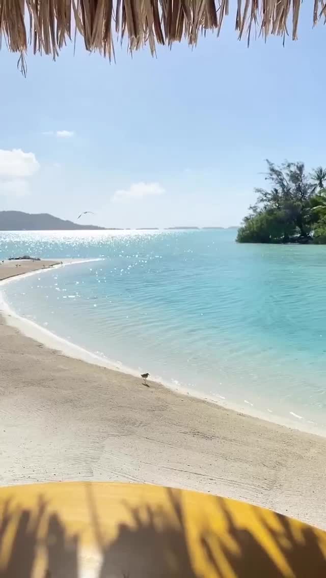 Vanessa Rallonza Tropical Escape: Sun-Kissed Serenity (Video)