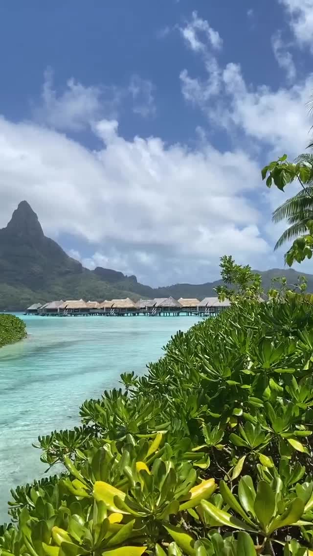 Vanessa Rallonza Tropical Paradise Exploration (Video)