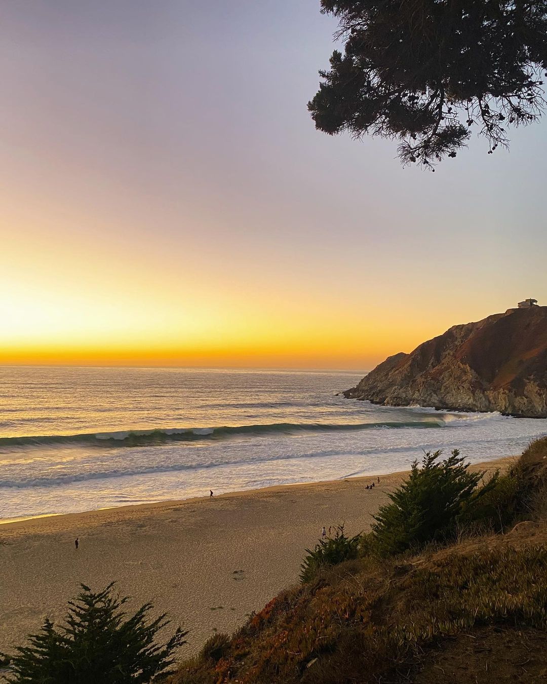 Vanessa Rallonza: Golden Hour Palm Silhouette at Sunset Beach