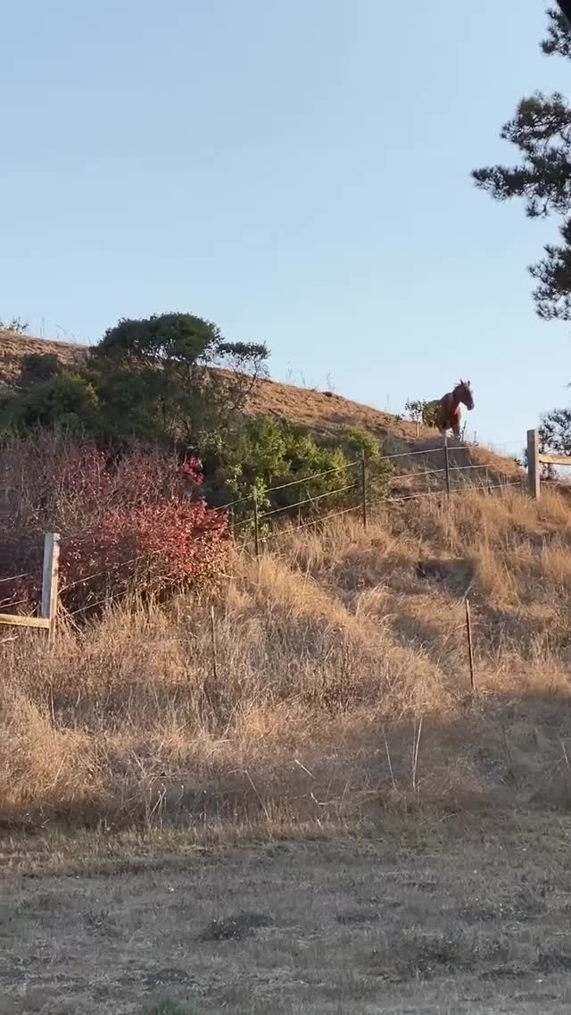 Vanessa Rallonza Serene Countryside Journey (Video)