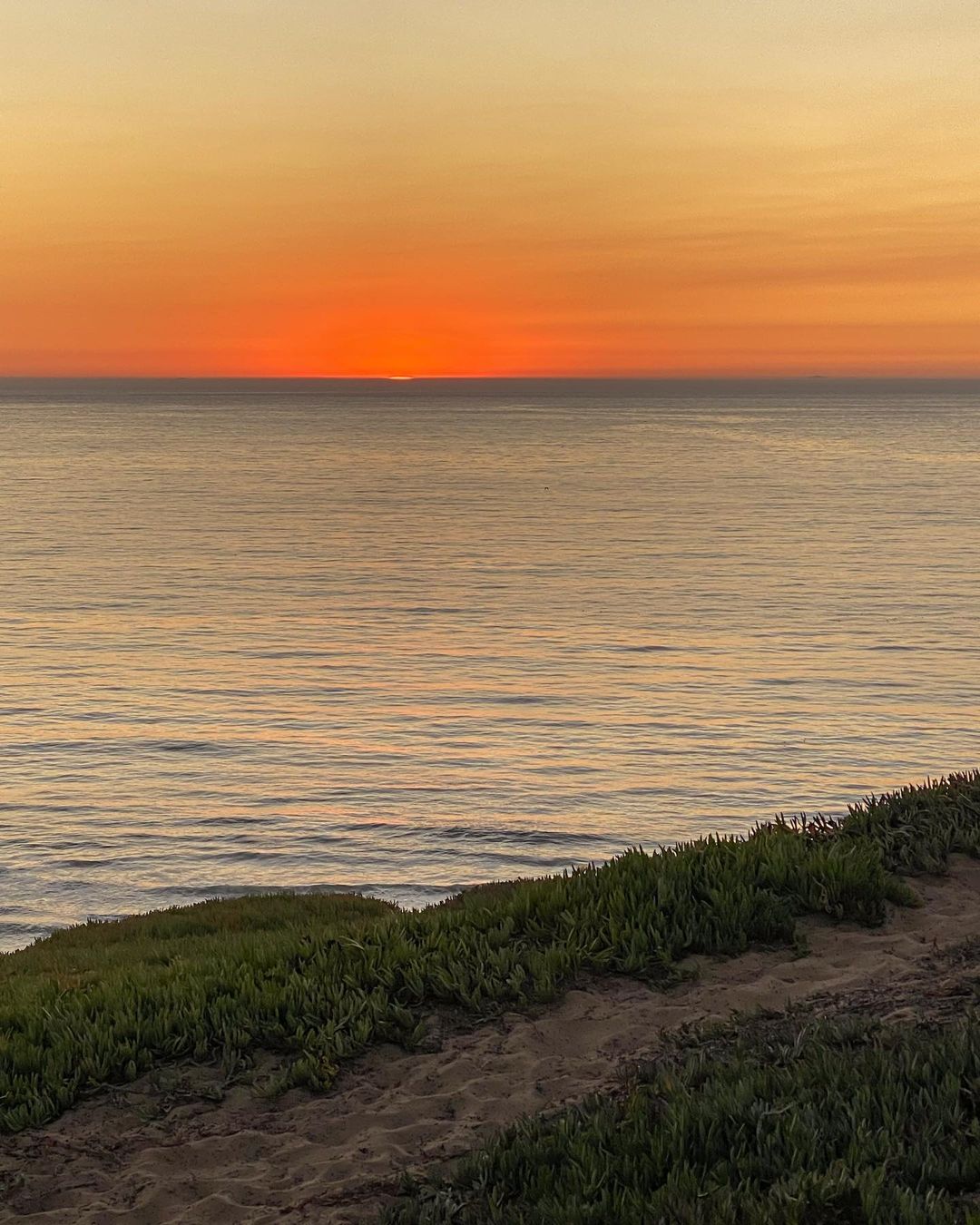 Vanessa Rallonza: Majestic Clifftop Overlooking Azure Ocean