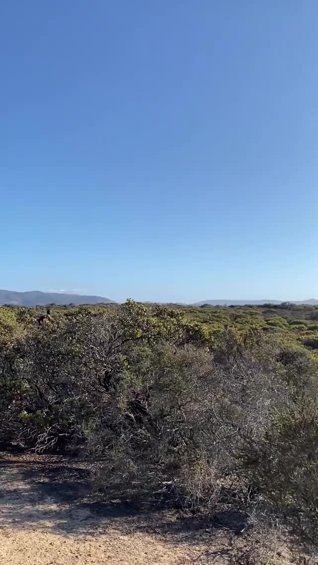 Vanessa Rallonza's Enchanting Nature Walk (Video)