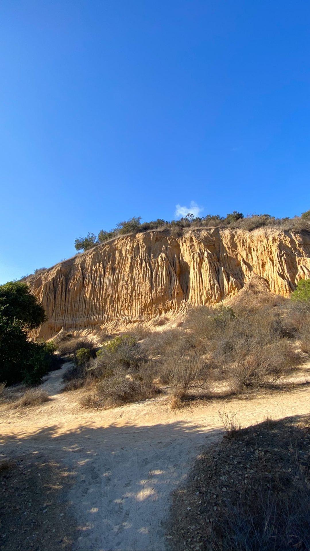 Vanessa Rallonza: Captivating Dirt Trail Towards Cliffside Vista