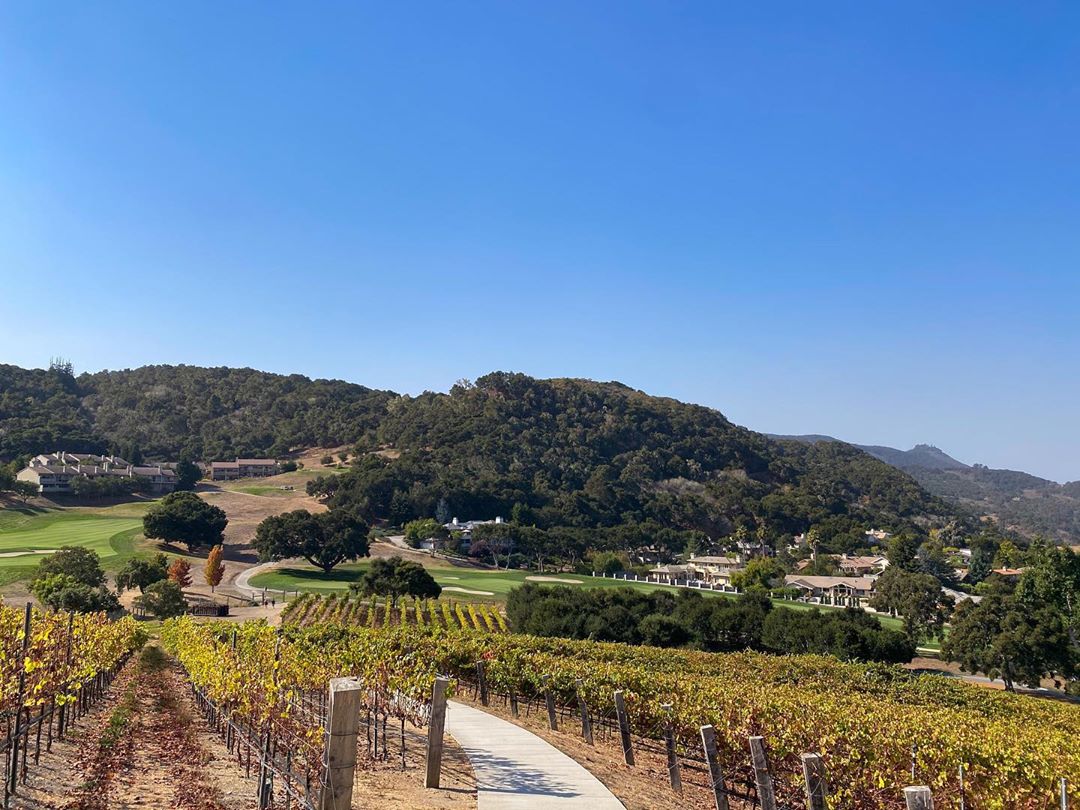 Vanessa Rallonza's Serene Sunset at Hilltop Vineyard