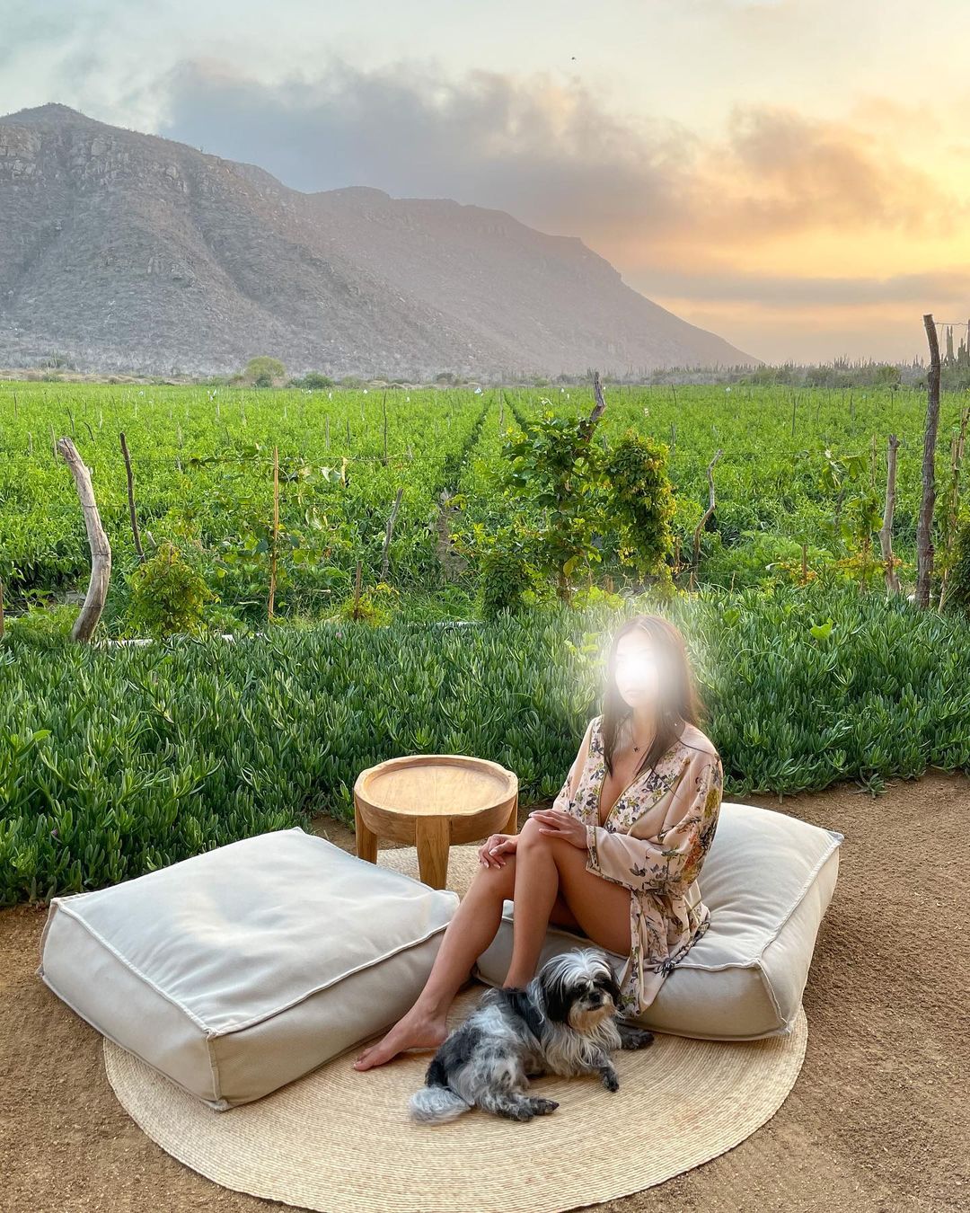 Vanessa Rallonza - Tranquil Rural Charm with Canine Companion