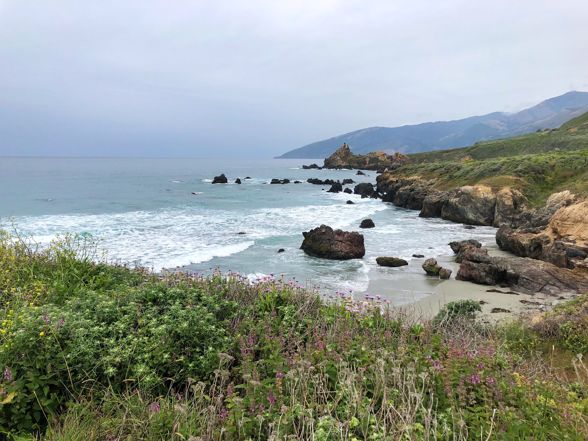 Vanessa Rallonza Alluring Elegance Pacific Coast